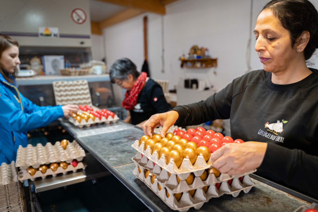 Mitarbeiter beim Eier verpacken in der Sortierstraße des Geflügelhofs Eberl im Landkreis Dingolfing Landau